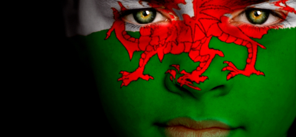 Why Welsh literacy classes were vital to my career