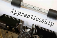 The gender gap in apprenticeships