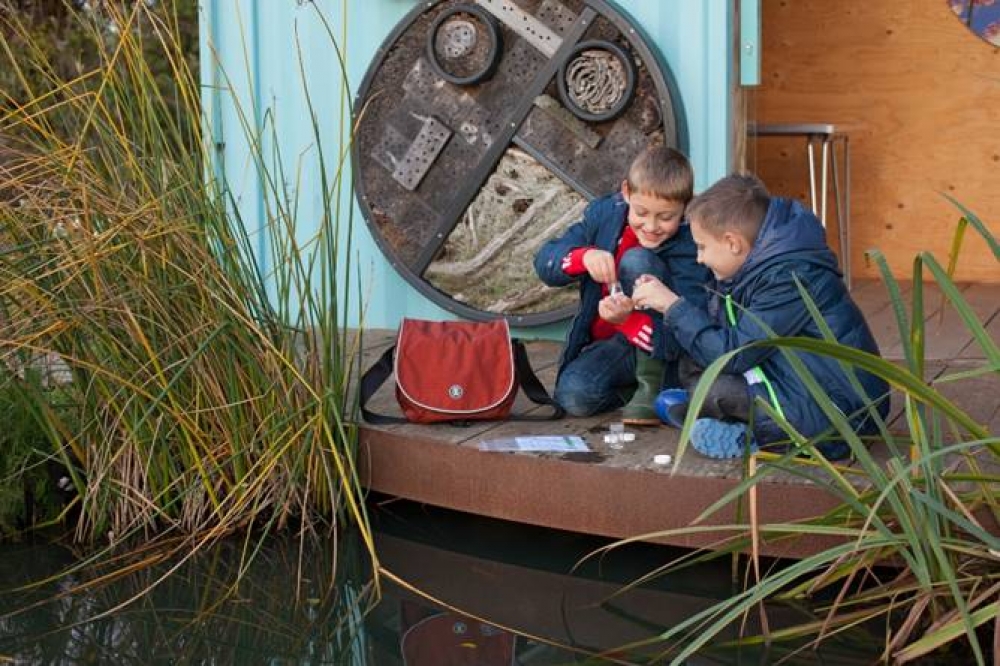 UK schools to enjoy safe wetland fun this winter