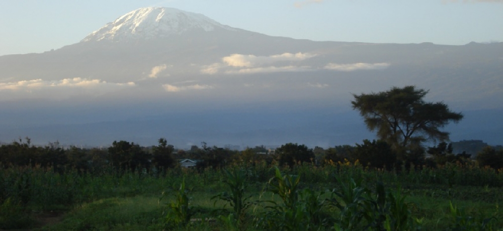 How our students conquered Kilimanjaro