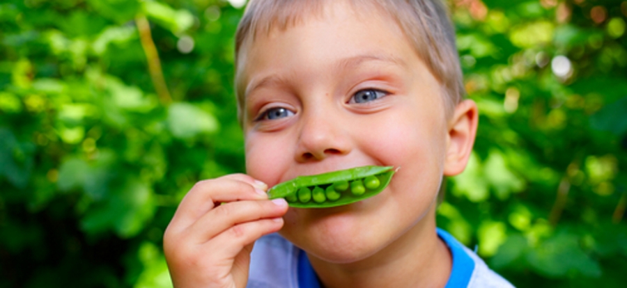 Schools growing their own food with the WWF Easy Peasy Pea Challenge