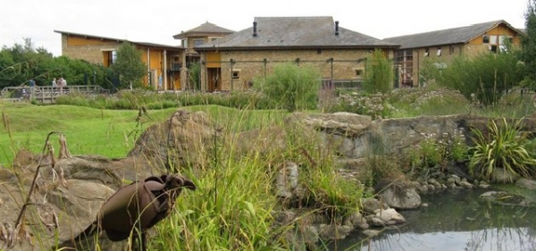 London pupils become conservationists at wetland centre