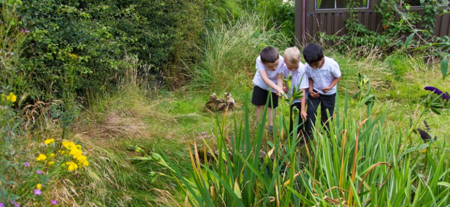 Outdoor learning - What does the future hold for the UK?