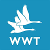 WWT London Wetland Centre
